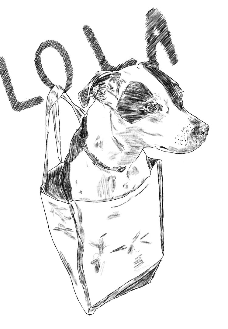 Subway Dog
