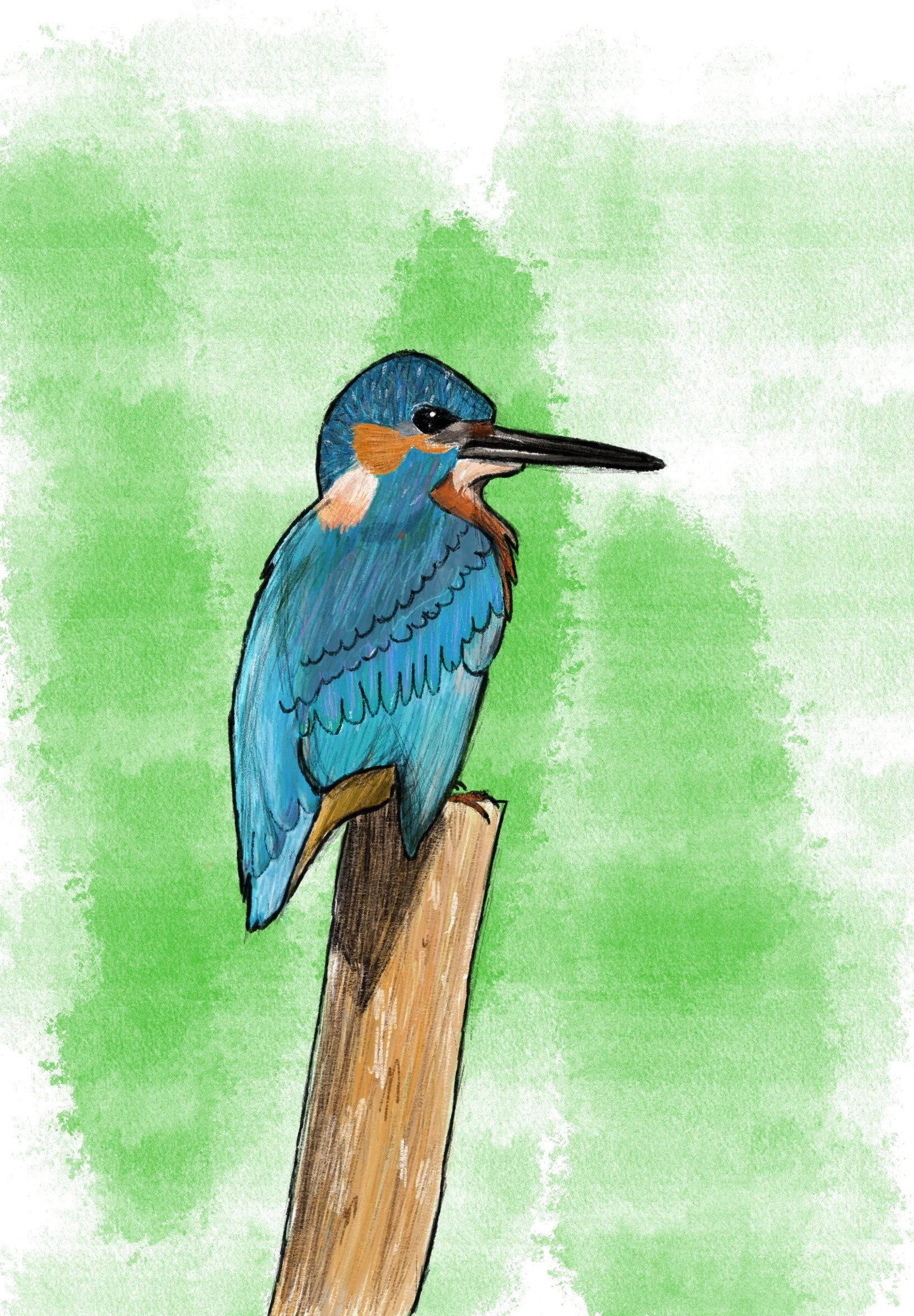 Drawing