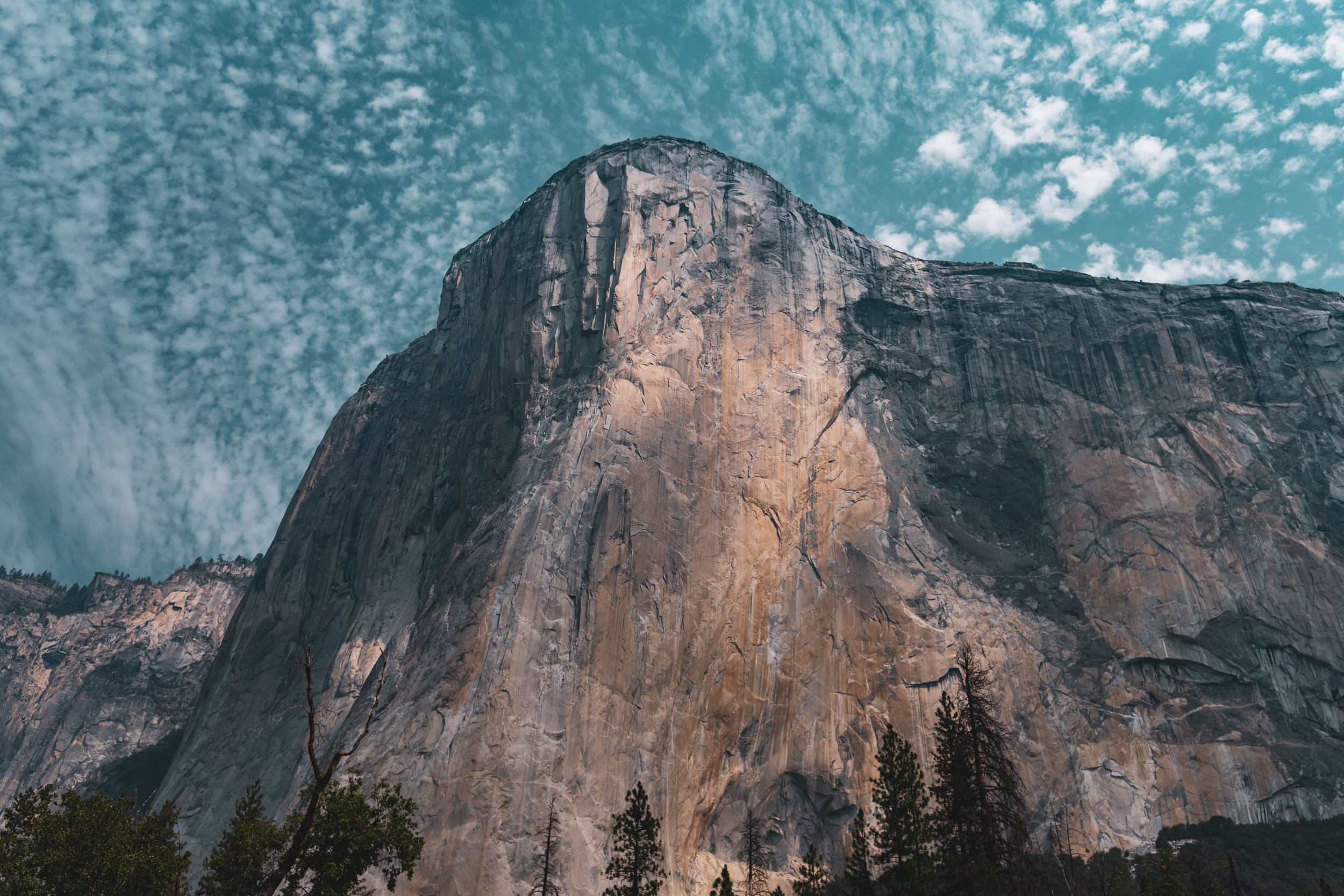Photography — 23